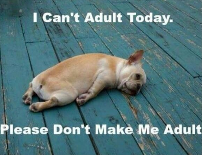 Please don't make me adult