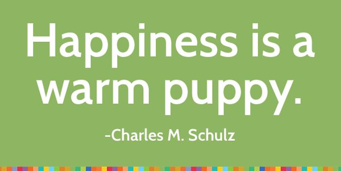 quotes that will change your life