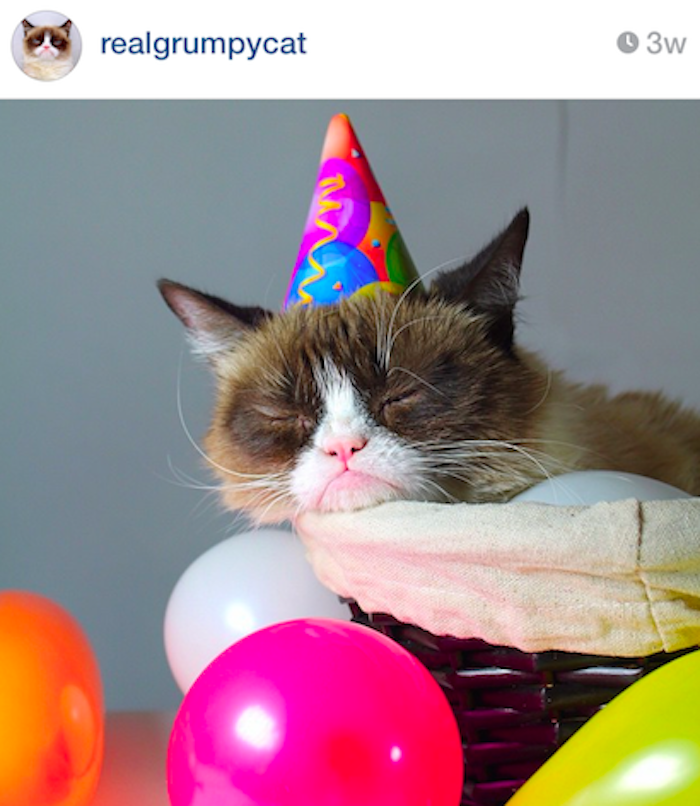 best instagram accounts